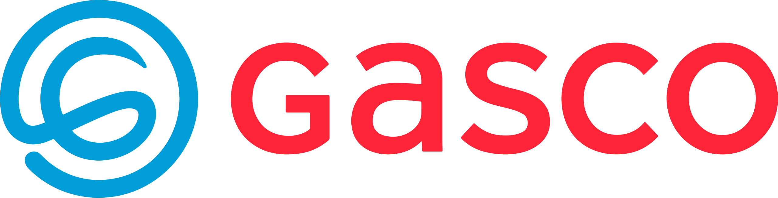 Logo_Gasco.svg